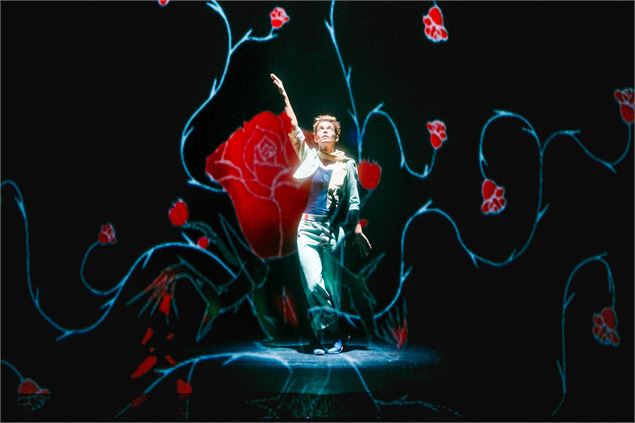 Le Petit Prince - Thomas O'Brien