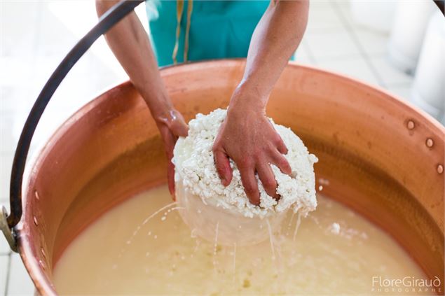 Fabrication de fromage de chèvre. - Flore GIRAUD
