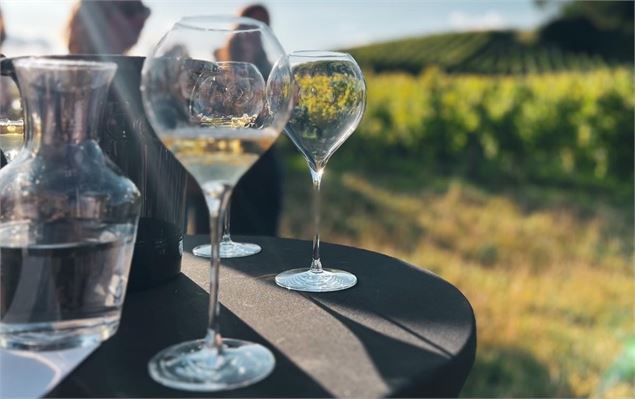 degustation vins - beneath