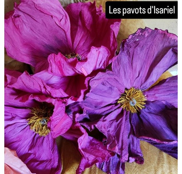 Exposition les Fleurs d'Isariel au Domaine de la Gerbelle_Chignin
