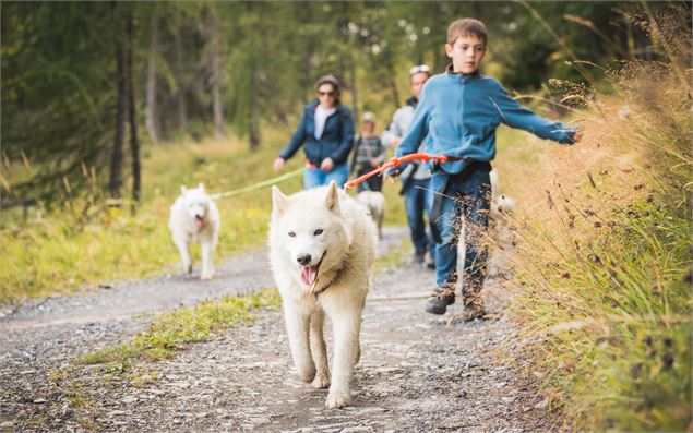 Husky-rando apéro gourmand_Morgins