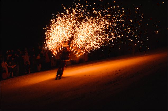 Ski Show du Nouvel An