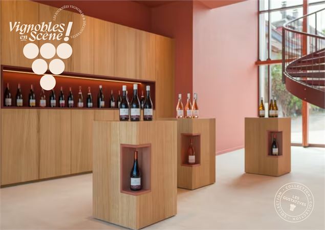 Éveil Gourmand au Domaine Carrel & Senger_Jongieux - Domaine Carrel & Senger