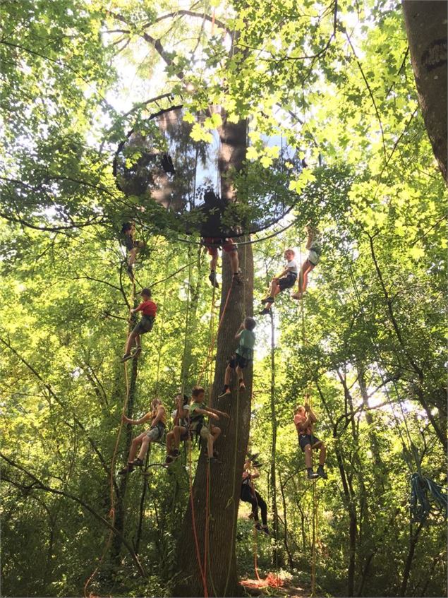 La Fête des possibles : Grimpe d'arbre_Sixt-Fer-à-Cheval - Jerome Gomon