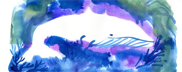 illustration - ©Mathilde Poncet