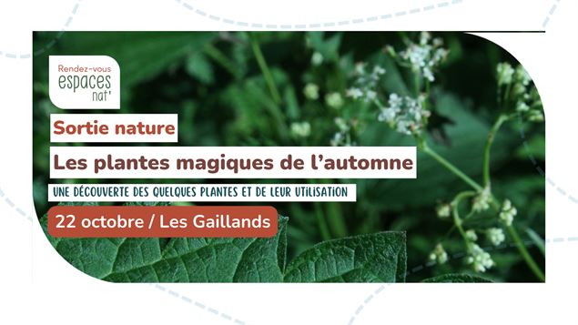 Sortie nature - les plantes magiques de l'automne_Chamonix-Mont-Blanc