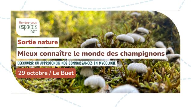 Sortie nature - Mieux connaître le monde des champignons_Vallorcine