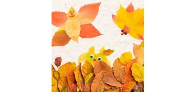 Jolies geuilles d'automne (4 à 7 ans)_Ceyzérieu - Maison du marais