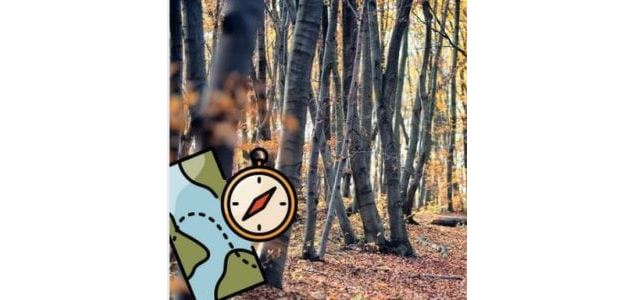 Le labyrinthe de la forêt (8 à 13 ans)_Ceyzérieu - Maison du Marais