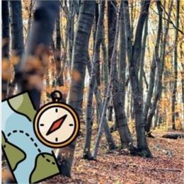 Le labyrinthe de la forêt (8 à 13 ans)_Ceyzérieu - Maison du Marais