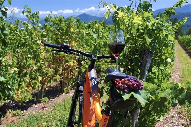 Vignes, Vélo & Verres au domaine de l'Idylle_Cruet - OT Coeur de Savoie