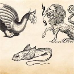 Animaux imaginaires (6 à 12 ans)_Ceyzérieu - Maison du marais