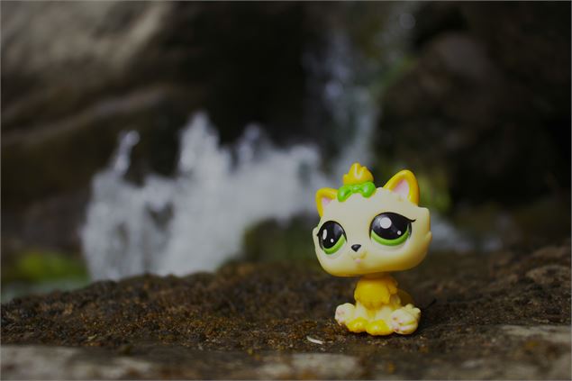 Festiv'LPS- Convention de fans de figurines littlest Pet Shop_Villieu-Loyes-Mollon - unsplash