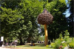 Atelier découverte : rallye des arbres_Annecy - Ville d'Annecy