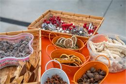 Atelier Créatif : Décoration automnale_Annecy - Quentin Trillot - Ville d'Annecy