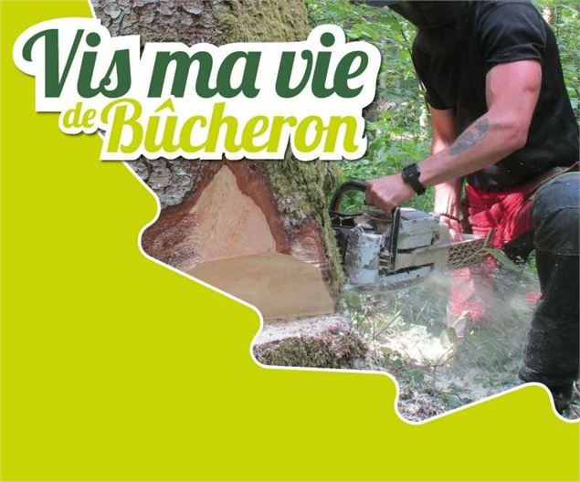 Vis ma vie de bûcheron_Albertville