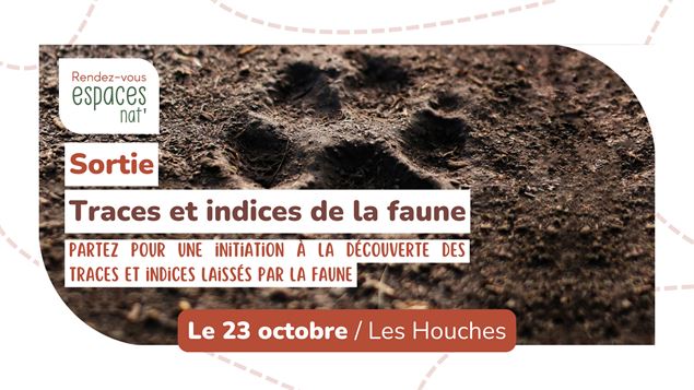Bandeau sortie nature - Initiation aux traces et indices de la faune_Les Houches