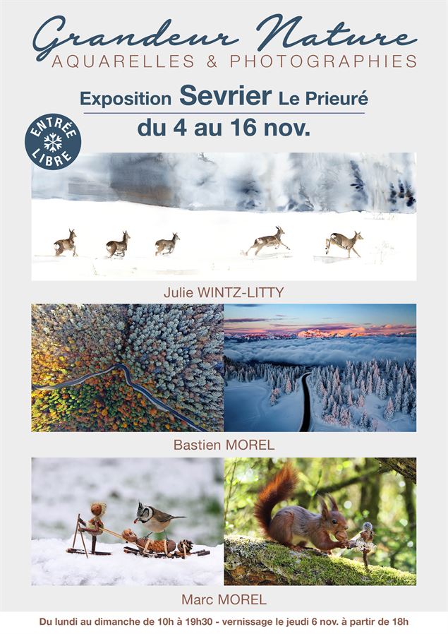 Exposition