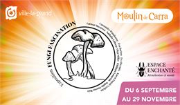 Exposition artistique Fungi Fascination_Ville-la-Grand - Karen Dutoit et Mairie de Ville-la-Grand