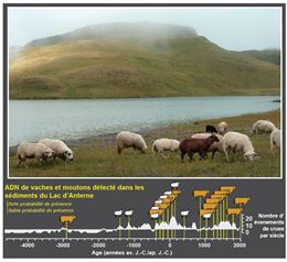 Conférence "Voyage au cœur des lacs et de la vase à la recherche des origines des paysans des Alpes"