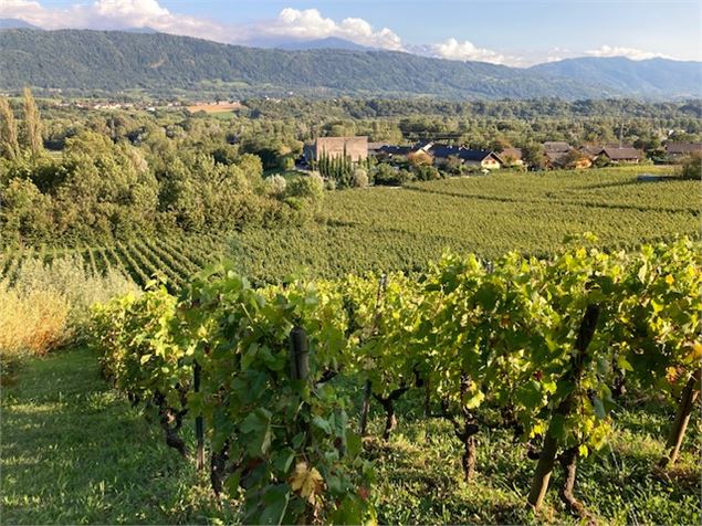 Dégustation vins et fromages au Château de Mérande