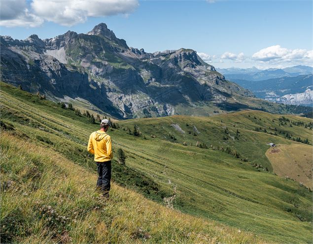 Berger Croisse Baulet - Marine Martin