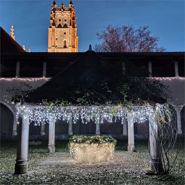 Lumières enchantées_Bourg-en-Bresse - ©MBontemps