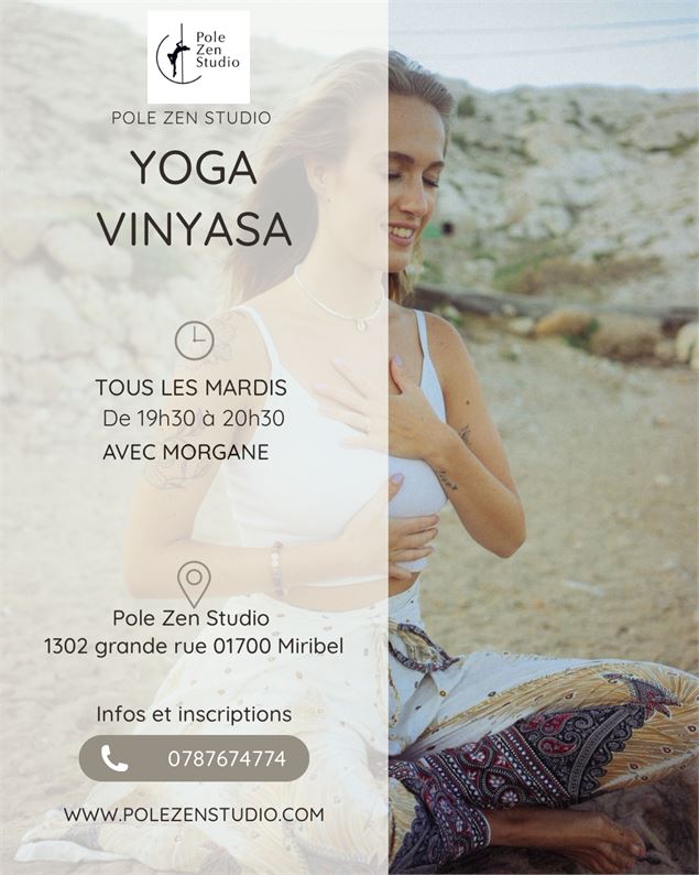 Yoga Vinyasa - Yoga Pole Zen Studio