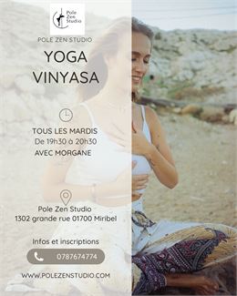 Yoga Vinyasa - Yoga Pole Zen Studio