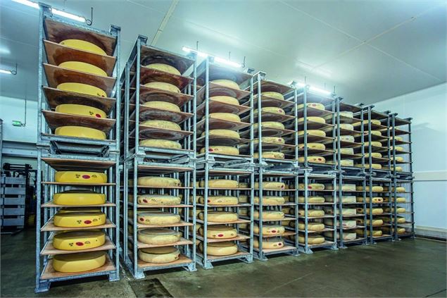 Com'les pros - Visite de la fromagerie Chabert_Vallières-sur-Fier