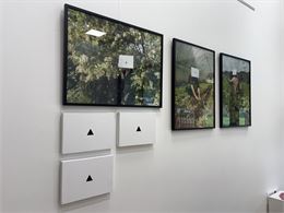 Carde de l'œuvre le sens du milieu - Office de Tourisme Porte de Maurienne