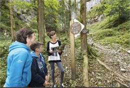 "Les Forestivités" - Sur les traces des arbres de la forêt des grottes de St Christophe_Saint-Christ