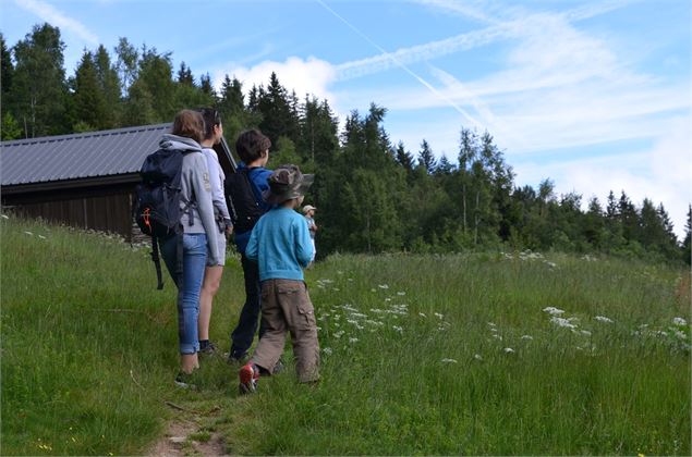 Randonnée - Office de tourisme