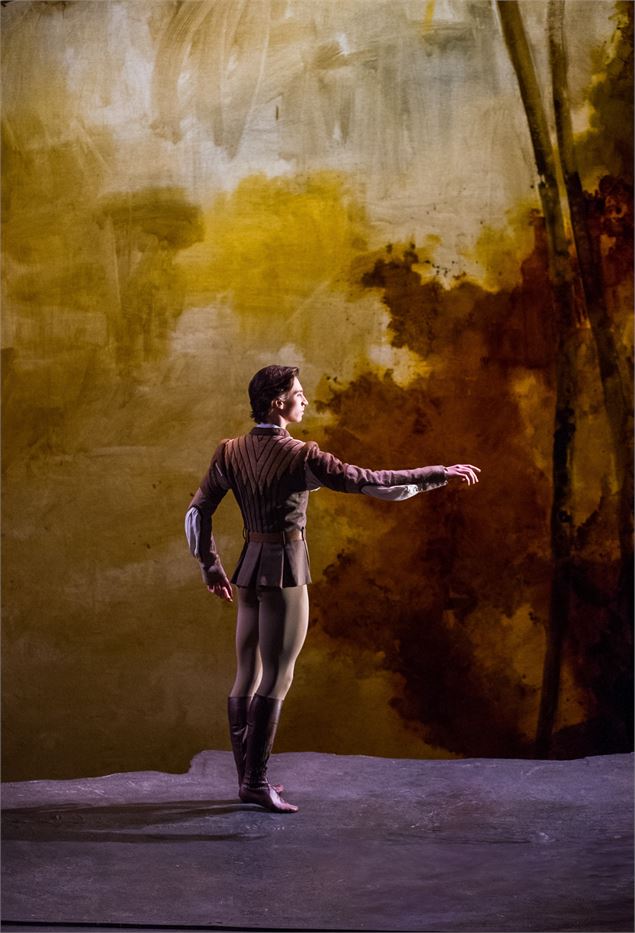 image du spectacle - CGR Events