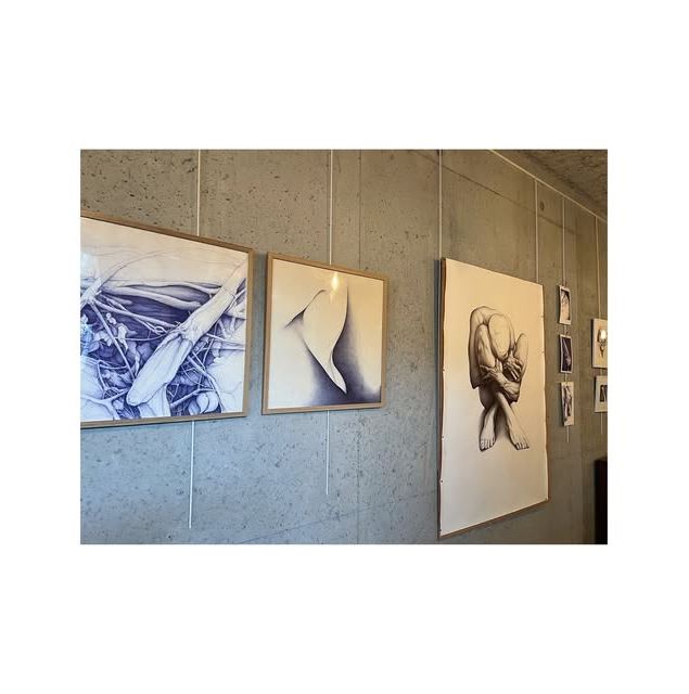 Exposition de dessins au stylo Bic par Olivier Fischer à la Barque_Champagne-en-Valromey - La Barque