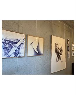 Exposition de dessins au stylo Bic par Olivier Fischer à la Barque_Champagne-en-Valromey - La Barque