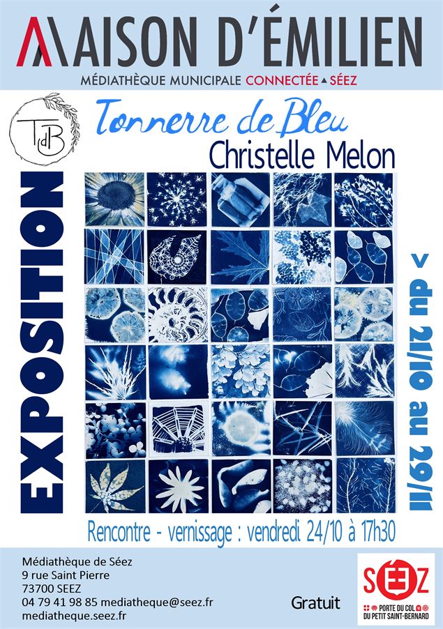 affiche - Maison d'émilien