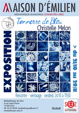 affiche - Maison d'émilien
