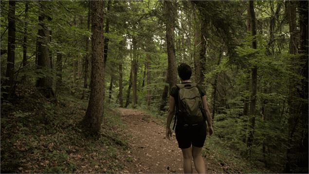 Conférence - Les forêts en Faucigny_Bonneville