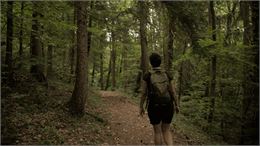 Conférence - Les forêts en Faucigny_Bonneville