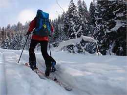 Homme qui pratique le ski de randonnée - A.Rey