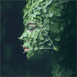 Fête de la science - Fête de la science