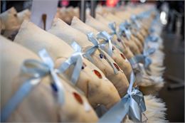 Chapons - ©Morgane Monneret