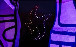 Spectacle de drones (chocard à bec jaune) - OT Flaine-Candice Genard