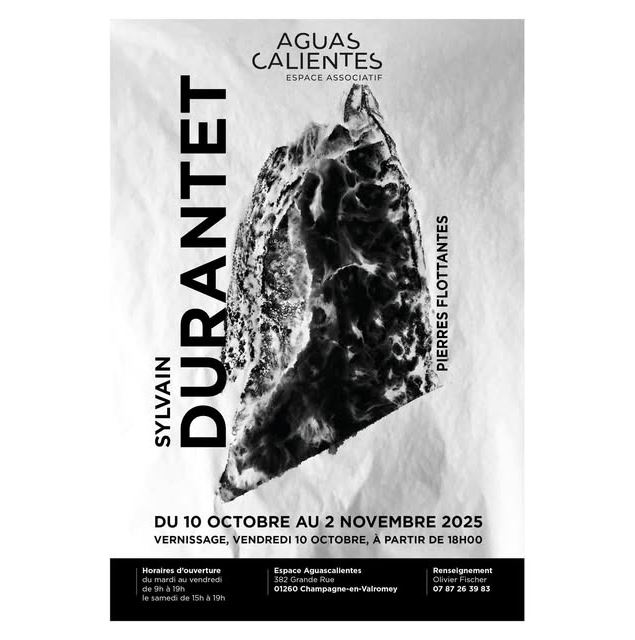 Exposition de Sylvain Durandet à l'Espace Aguascalientes_Champagne-en-Valromey - Espace Aguascalient