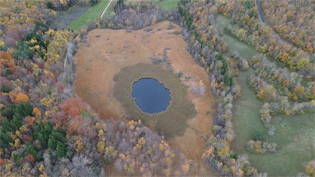 Tourbière - Amandine VEYRET
