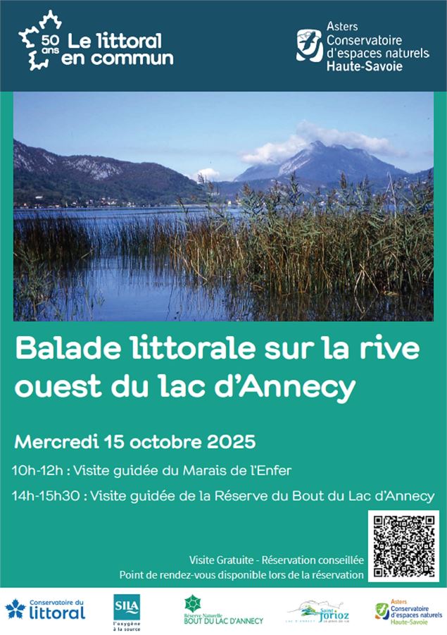 Balades littorales sur la rive ouest du lac d'Annecy_Saint-Jorioz - Asters - Cen74