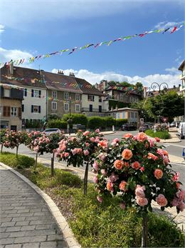 Centre ville de Gex - Ville de Gex