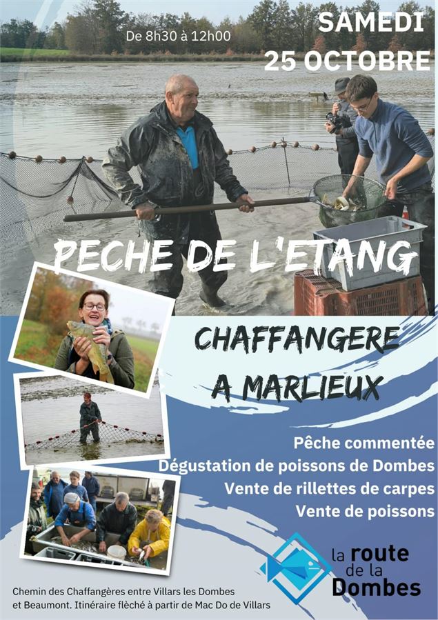 Pêche d'étang commentée - Route de la Dombes