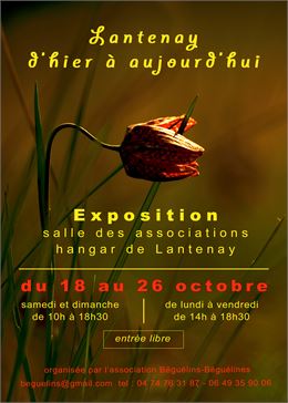 Affiche - Michelle Pélisson 